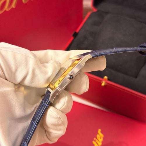 سانتوس دي كارتير