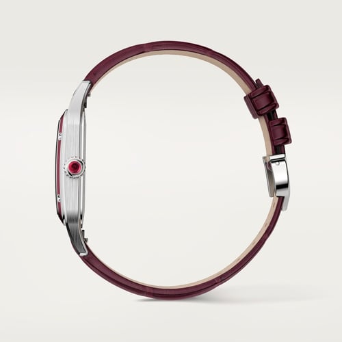 كارتير سانتوس دومو