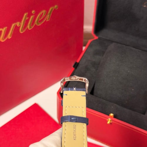 سانتوس دي كارتير