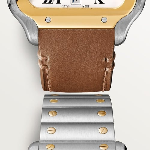 كارتير سانتوس سويسري