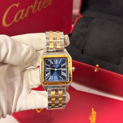 كارتير سانتوس دومو