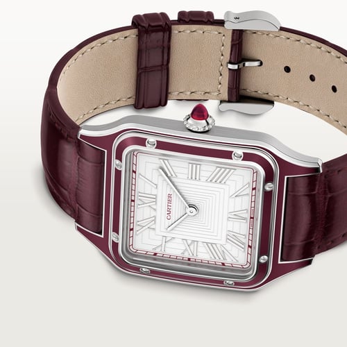 كارتير سانتوس دومو