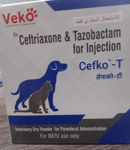 Ceftriaxone