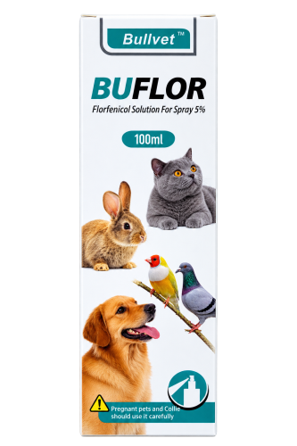 Bullvet بوفلور - محلول فلورينيكال للرش، 100 مل