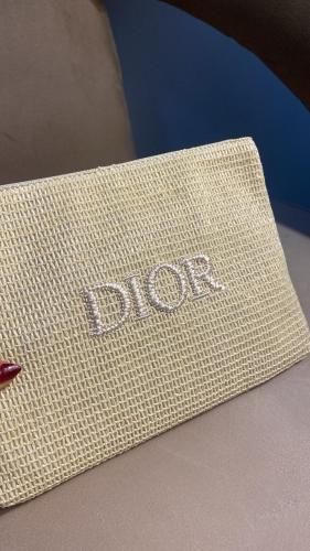 Dior pouch