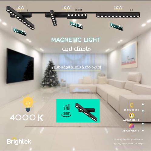 ماجنتك لايت Brightek