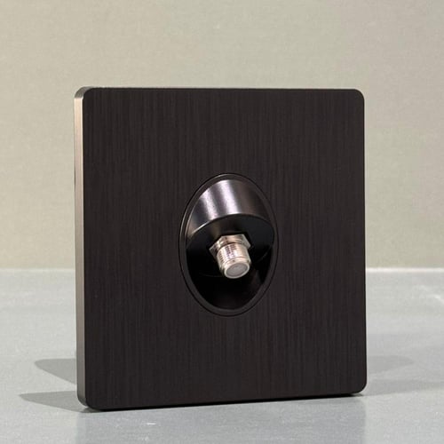 فيش دش مفرد