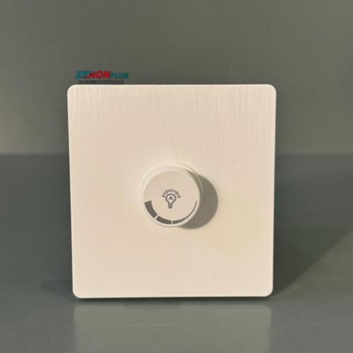 دايمر 1000واط 220 Zp