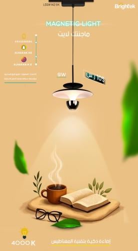 علاقي ماجنتك لايت Brightek