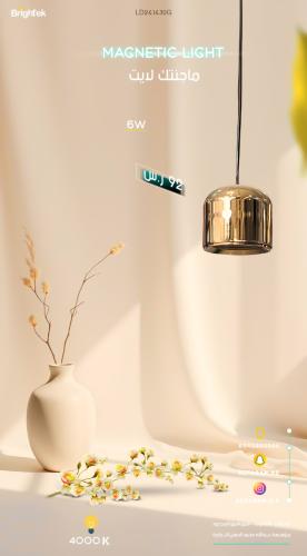 علاقي ماجنتك لايت Brightek