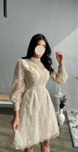 فستان تل مطرز انيق