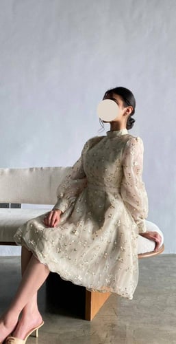 فستان تل مطرز انيق