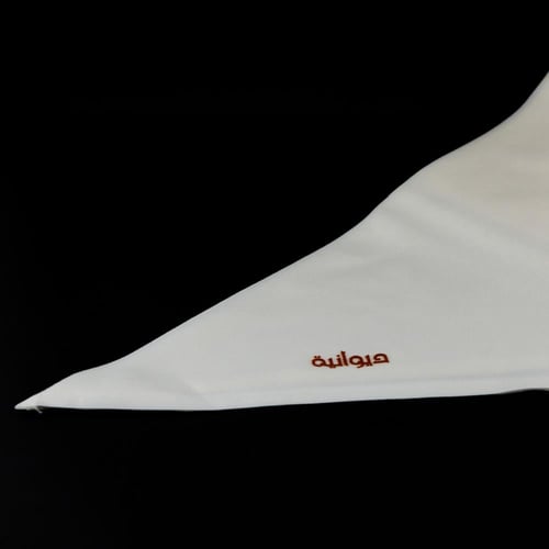 غتره شتوي - ديوانية