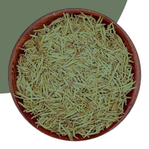 عشبة اكليل الجبل