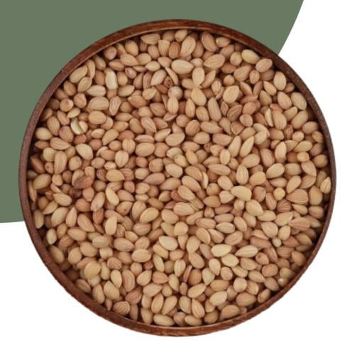 محلب درجة اولى