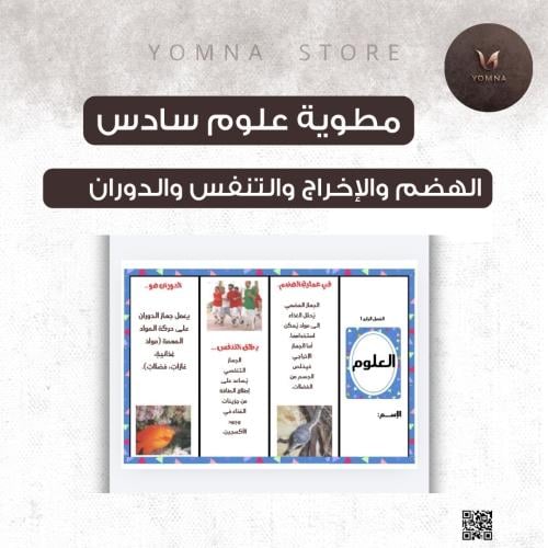 مطوية علوم الهضم والإخراج والتنفس والدوران صف ساد...