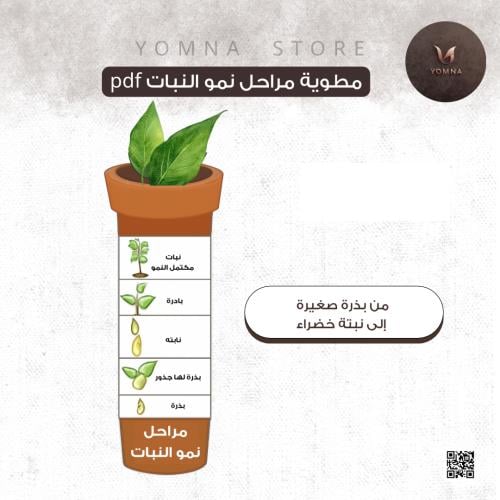 مطوية مراحل نمو النباتpdf