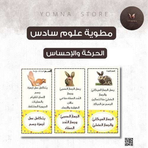 مطوية علوم الحركة والإحساس صف سادس