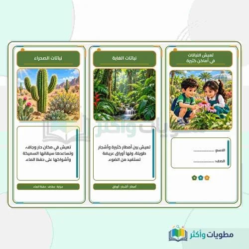 مطوية تعيش النباتات في أماكن كثيرة علوم أول ابتدائ...