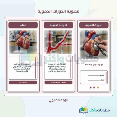 مطوية جهاز الدوران والدورات الدموية علوم ثاني متوس...