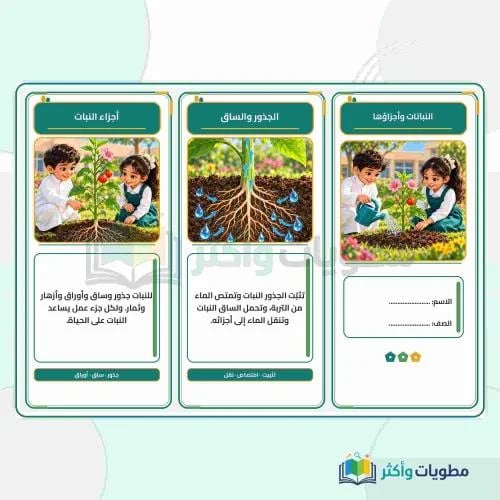 مطوية النباتات وأجزاؤها علوم أول ابتدائي PDF