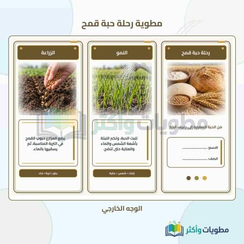 مطوية درس رحلة حبة قمح لغتي ثاني ابتدائي الفصل الأ...