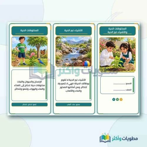 مطوية المخلوقات الحية والأشياء غير الحية علوم أول...