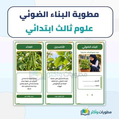 مطوية البناء الضوئي علوم ثالث ابتدائي PDF