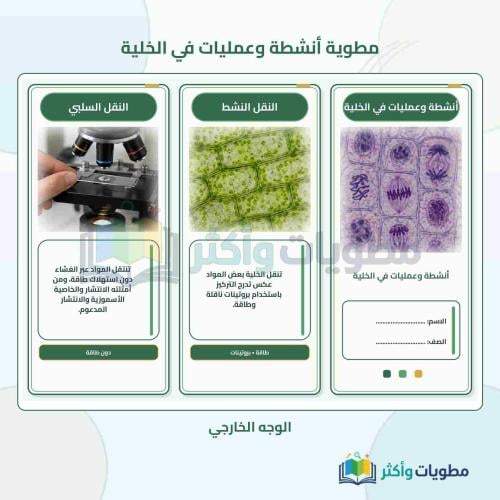 مطوية أنشطة وعمليات في الخلية علوم ثالث متوسط الفص...