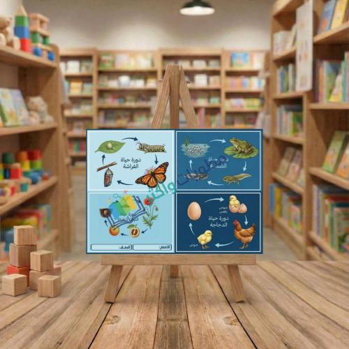 مطوية دورات حياة المخلوقات الحية صف ثالث ابتدائي