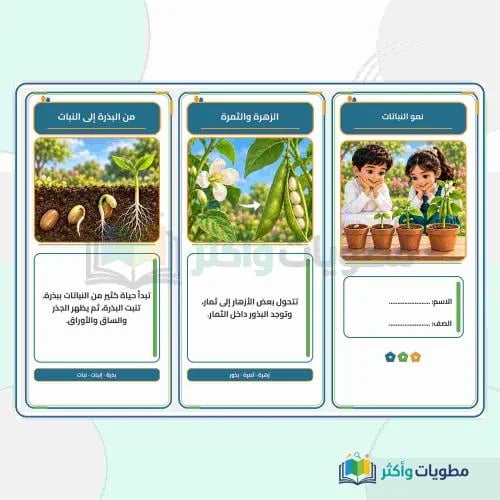 مطوية نمو النباتات علوم أول ابتدائي PDF