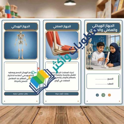 مطوية الجهاز الهيكلي والعضلي والعصبي | علوم سادس ا...