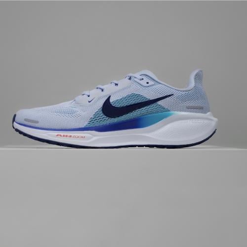 Pegasus 41 run