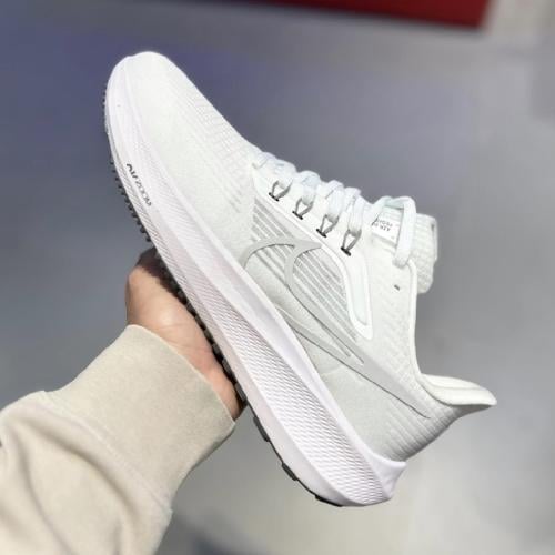 Pegasus 41 run