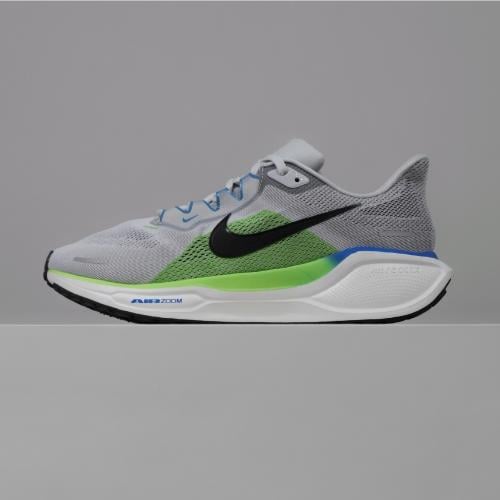 Pegasus 41 run