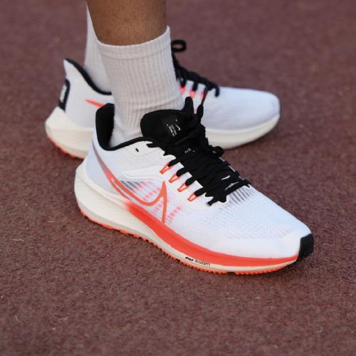 Pegasus 41 run