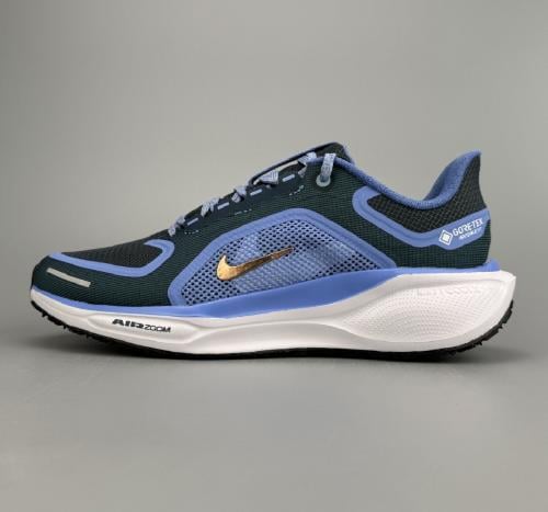 Pegasus 41 run
