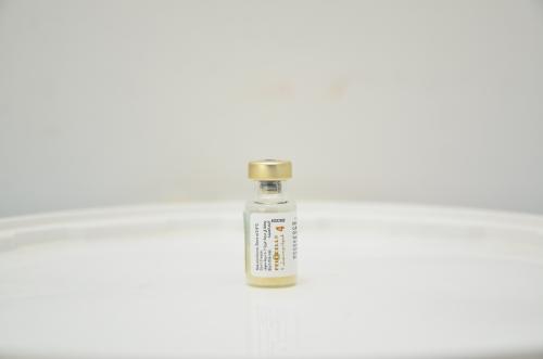 تحصين رباعي للقطط