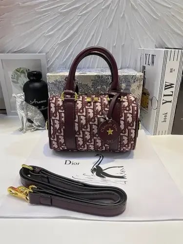 شنطة ديور صغيره الوان متعدده