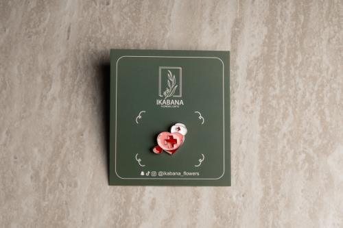 بروش القلب الطبي