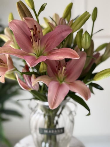 همس الليليوم الوردي الفاخر