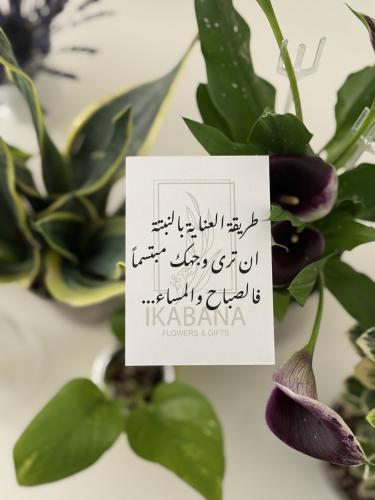 كرت عناية بنبض الحياة