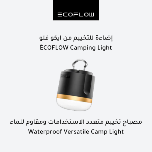 Ecoflow Camping Light