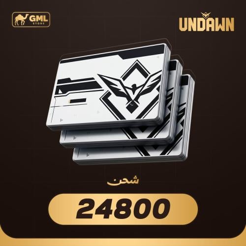 شحن انداون 24800 ار سي | Undawn RC