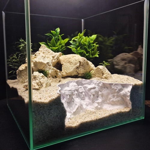 جبل راشمور