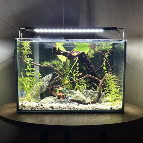 حوض نهري جاهز 13 لتر - A13