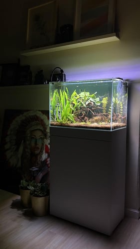 حوض نهري كلاسيك - P33