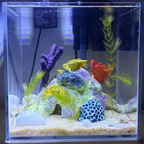 حوض نهري نانو - P15