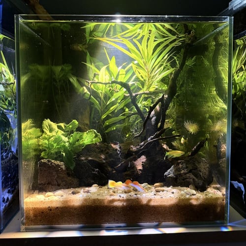 حوض نهري مكعب - P44