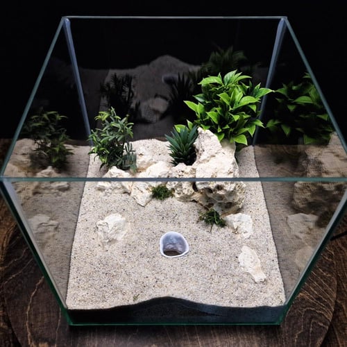 الأثر النجمي